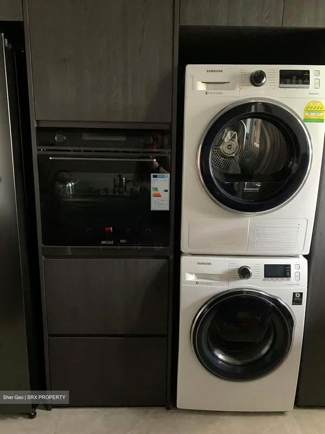 Mera Springs (D8), Condominium #572297001